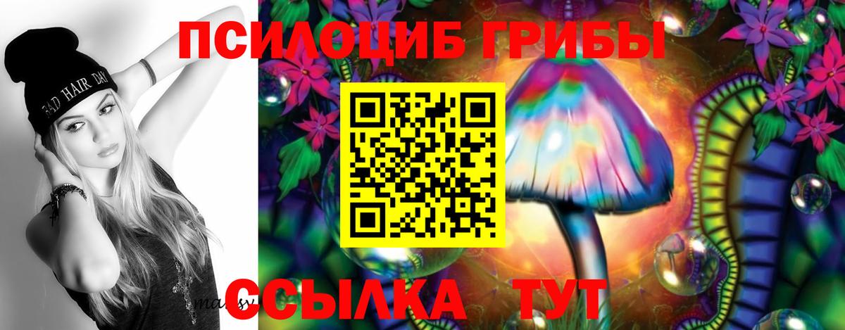 Семёнов  Галлюциногенные грибы Psilocybine cubensis  Псилоцибиновые грибы GOLDEN TEACHER  Вход с VPN 